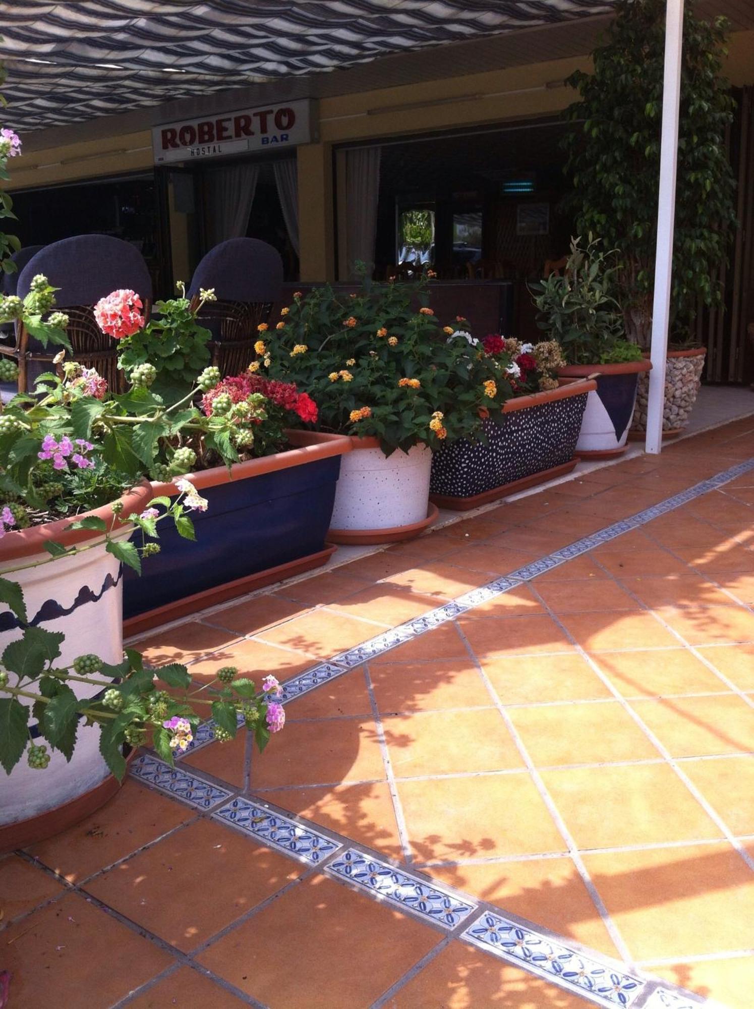 Hostal Roberto Palma Nova  Exterior photo